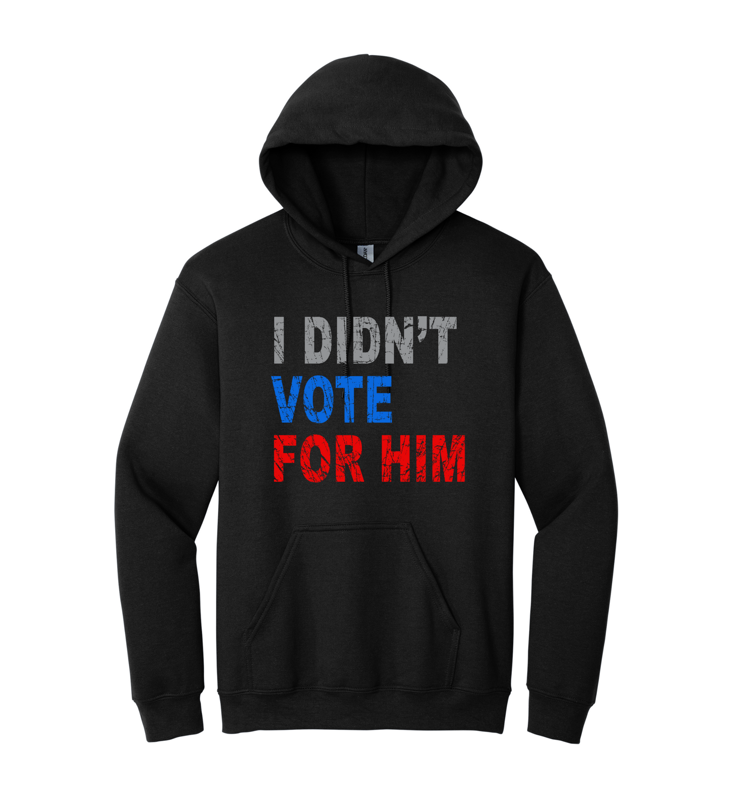 Hoodie - I Didn't Vote for Him