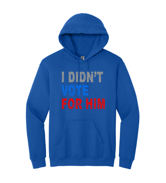 Hoodie - I Didn't Vote for Him
